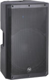 audiopipe 15" professional loud speaker 600w djpw-x15dsp