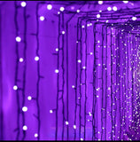 Bombillas de puntitos color violetas