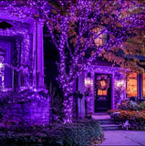 Bombillas de puntitos color violetas